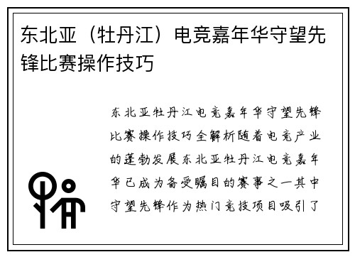 东北亚（牡丹江）电竞嘉年华守望先锋比赛操作技巧
